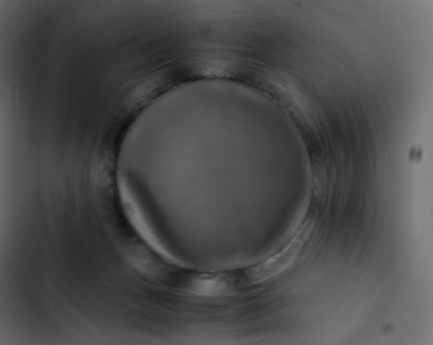 X0000102840175200809021345