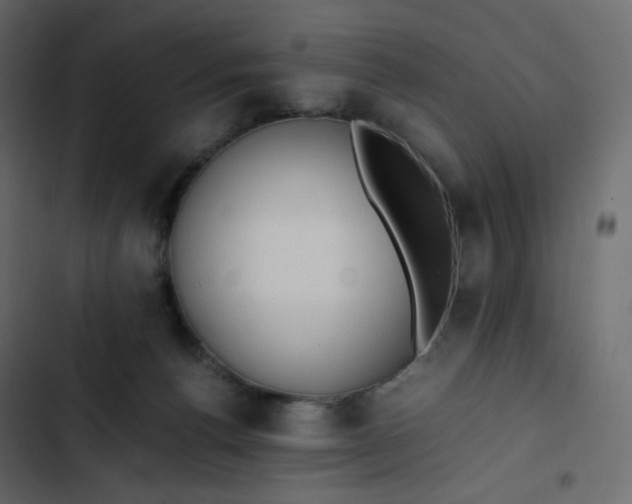 X0000102840176200809021345