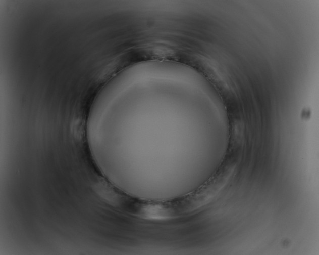 X0000102840177200809021345