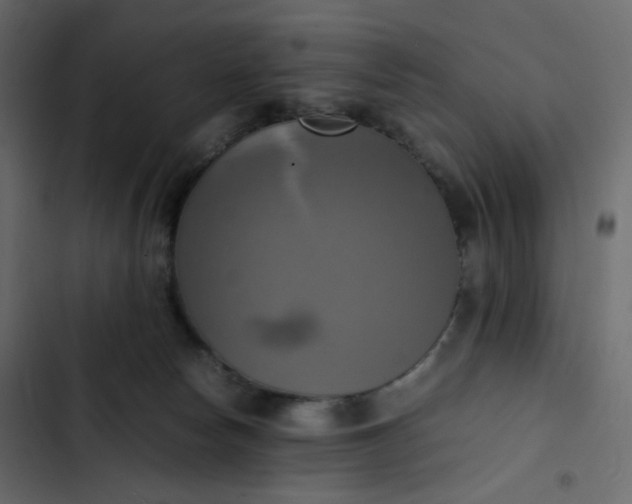 X0000102840178200809021345