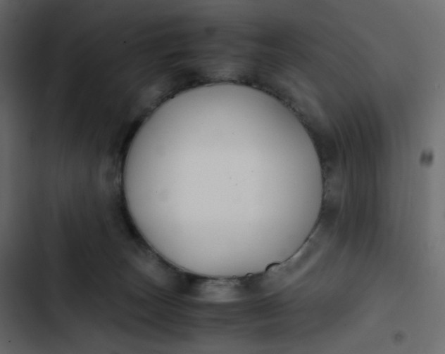 X0000102840179200809021345