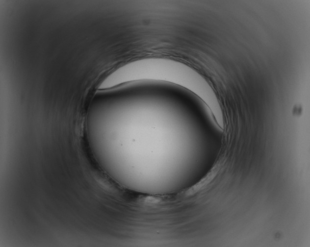 X0000102840180200809021345