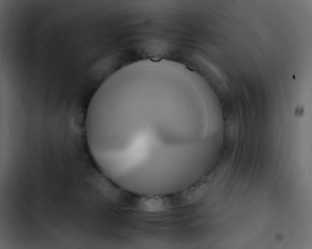 X0000102840181200809021345