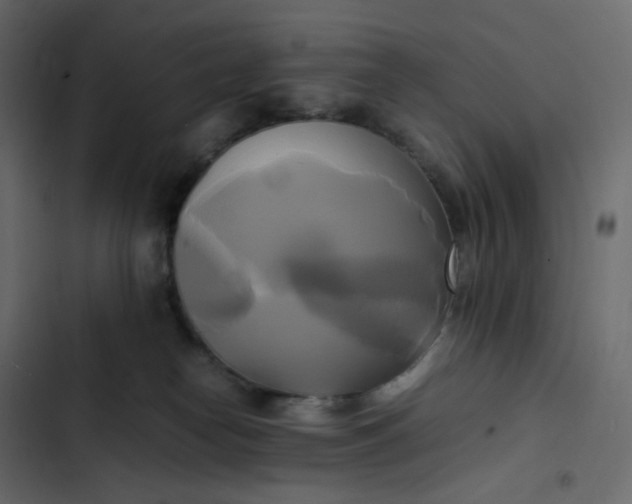 X0000102840182200809021345