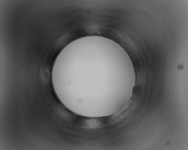 X0000102840183200809021346