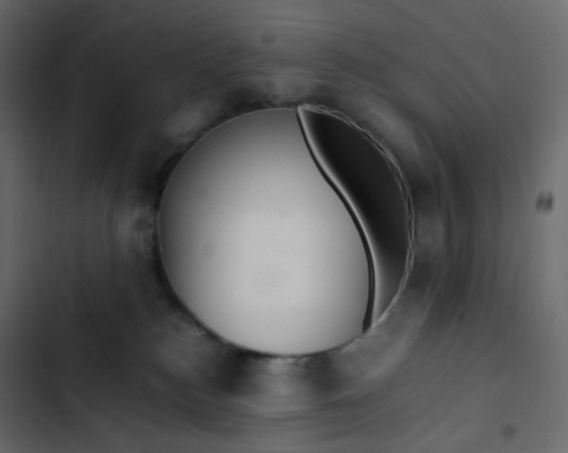 X0000102840184200809021346