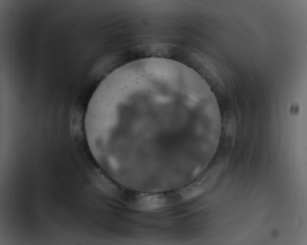 X0000102840185200809021346