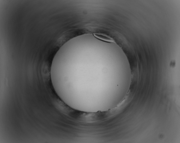 X0000102840186200809021346