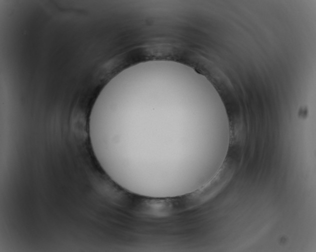 X0000102840187200809021346