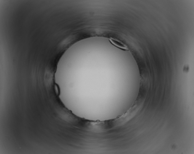 X0000102840188200809021346