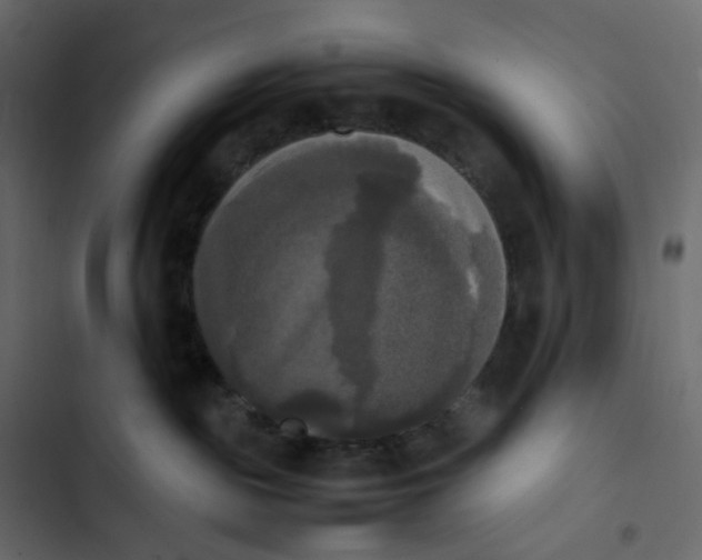 X0000102840189200809021346