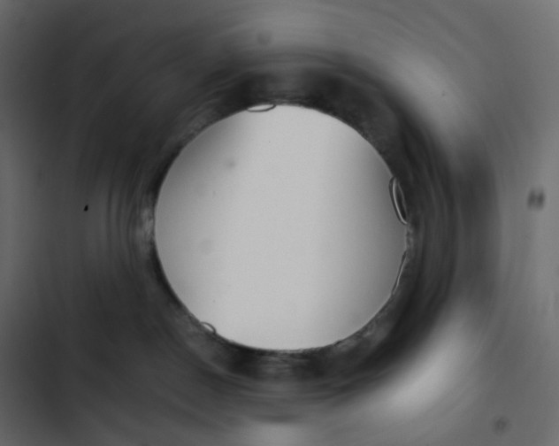 X0000102840190200809021346