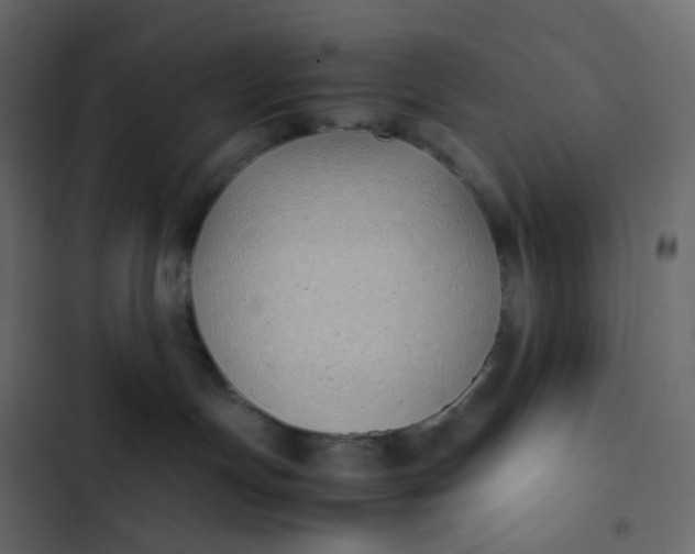 X0000102840191200809021346