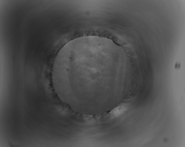 X0000102840192200809021346