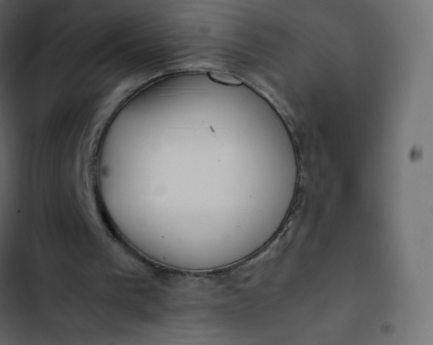 X0000102840193200809021345