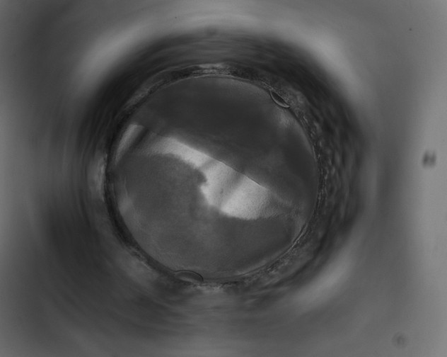 X0000102840194200809021345