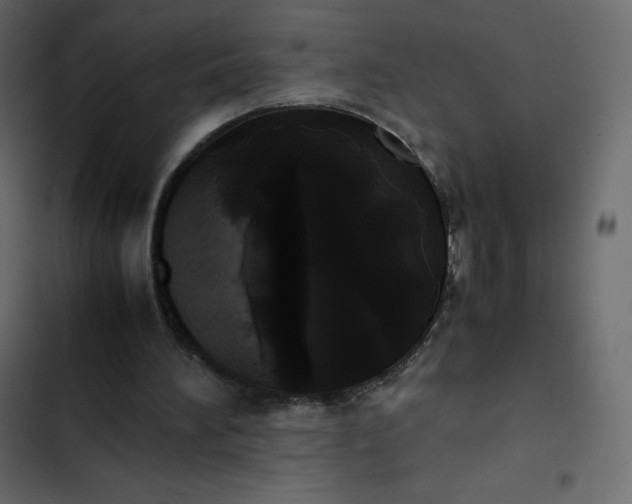 X0000102840196200809021345