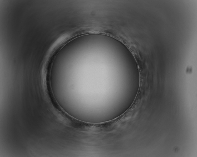 X0000102840197200809021345