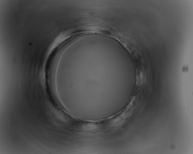 X0000102840198200809021345