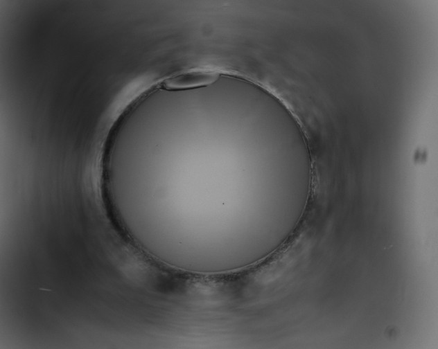 X0000102840199200809021345