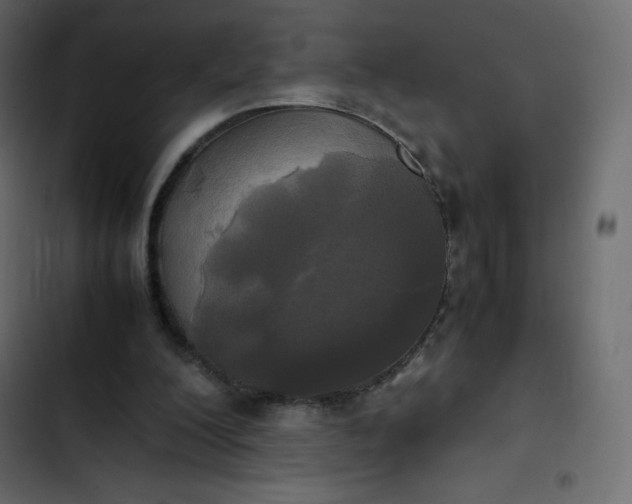 X0000102840200200809021345