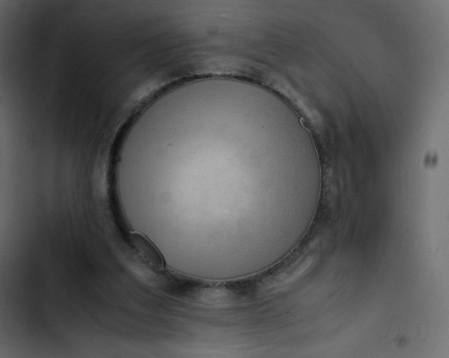 X0000102840203200809021345