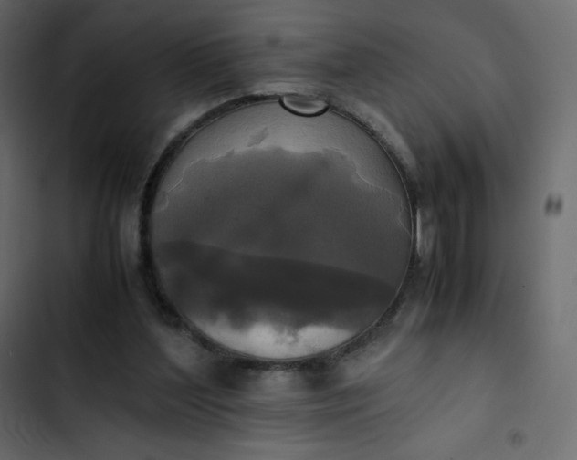 X0000102840204200809021345