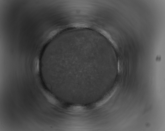 X0000102840205200809021345