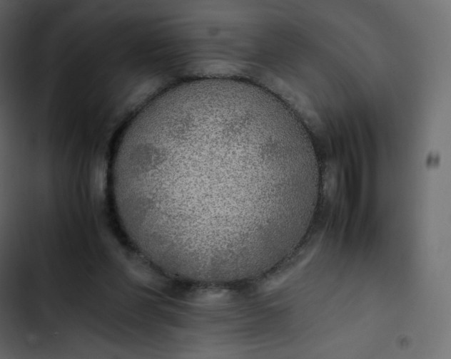 X0000102840206200809021345