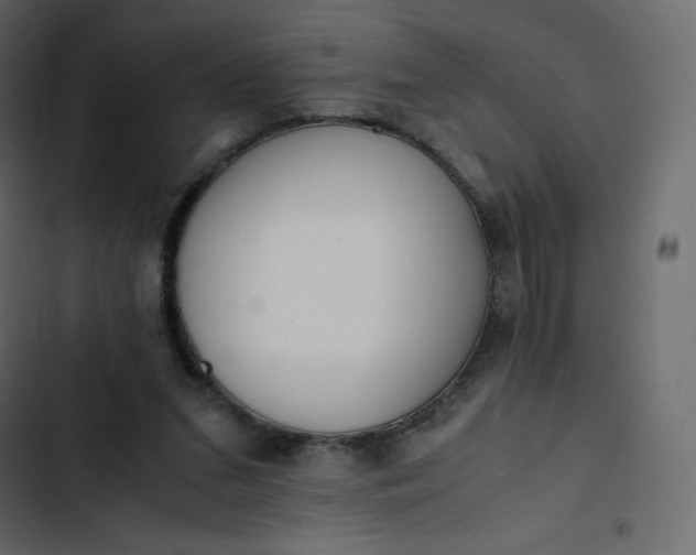 X0000102840207200809021345