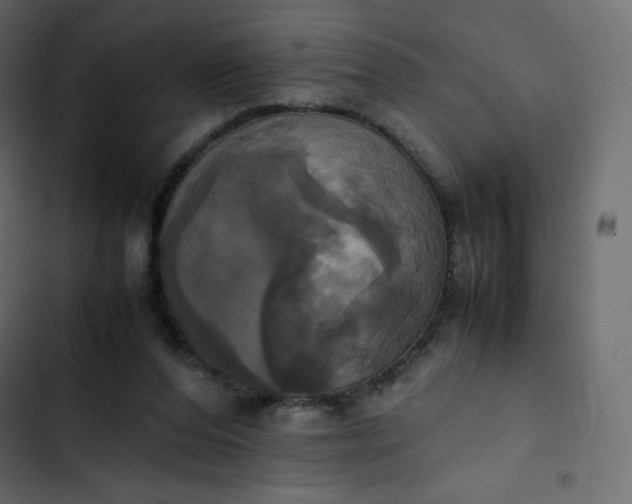 X0000102840208200809021345