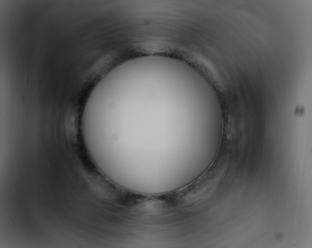 X0000102840210200809021344