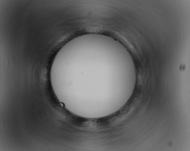 X0000102840211200809021344