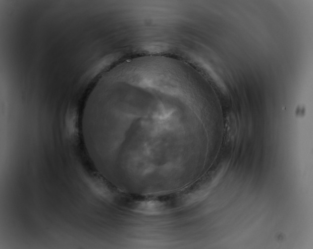 X0000102840212200809021344