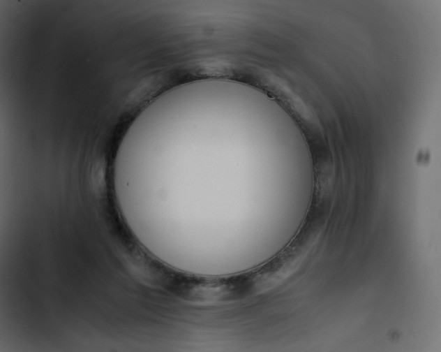 X0000102840213200809021344