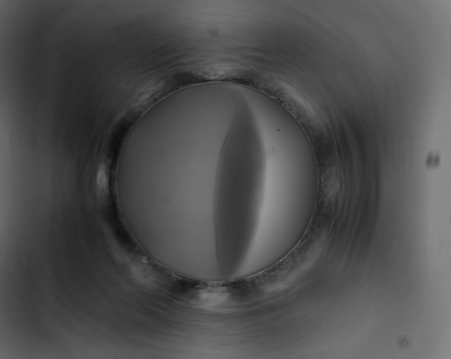 X0000102840214200809021344