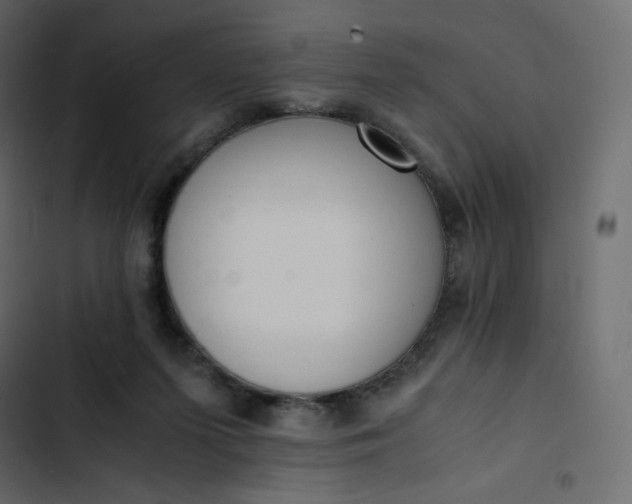 X0000102840215200809021344