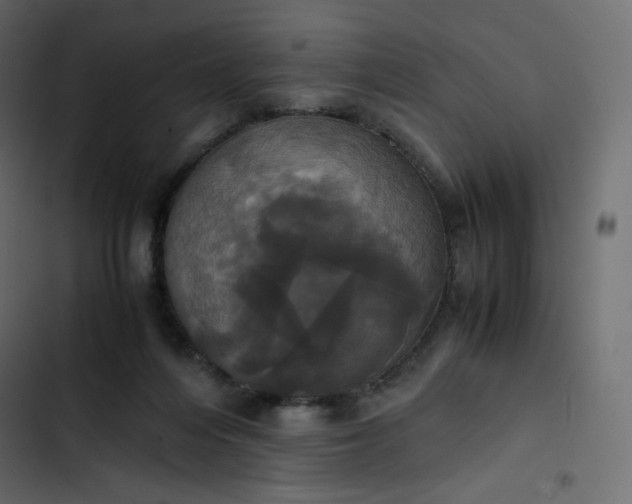 X0000102840216200809021344