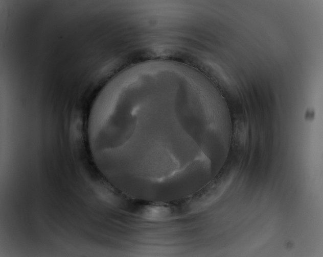 X0000102840220200809021344