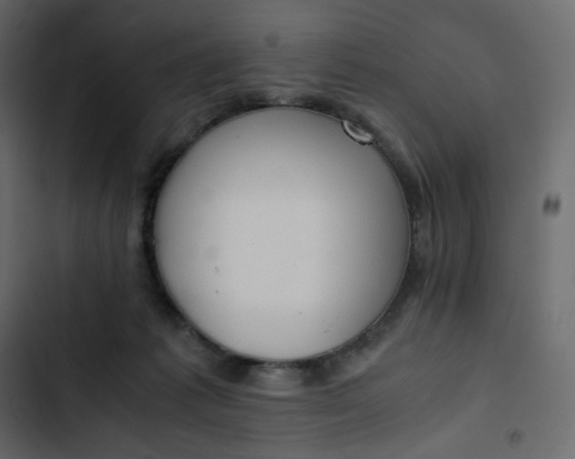 X0000102840221200809021344