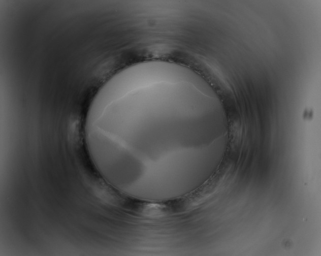 X0000102840222200809021344