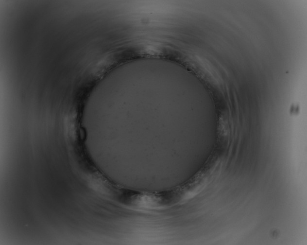 X0000102840223200809021344