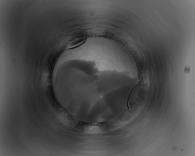 X0000102840224200809021344