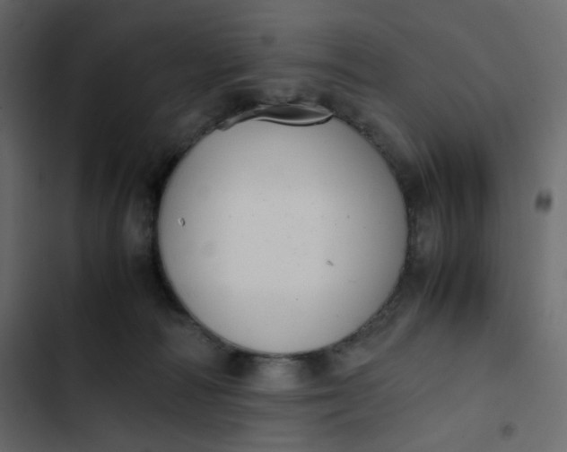 X0000102840226200809021344