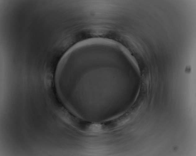 X0000102840227200809021344