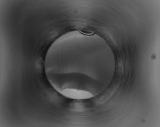 X0000102840228200809021344