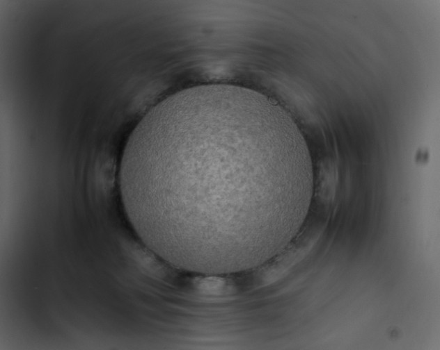 X0000102840230200809021344