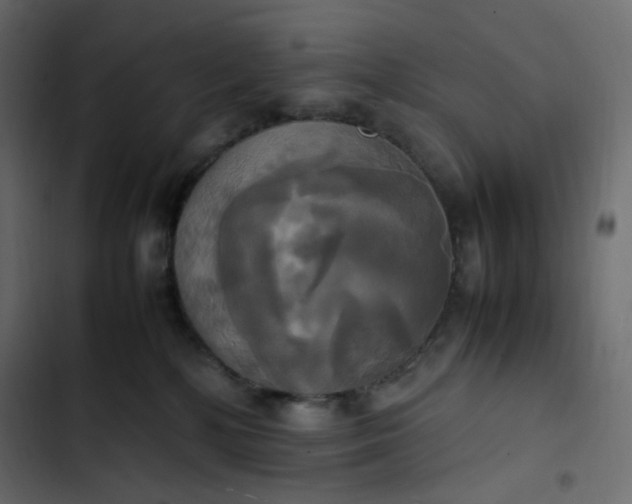 X0000102840232200809021344