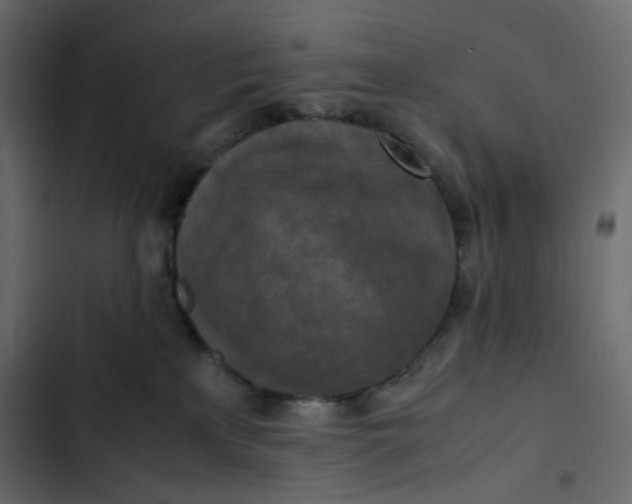 X0000102840233200809021344