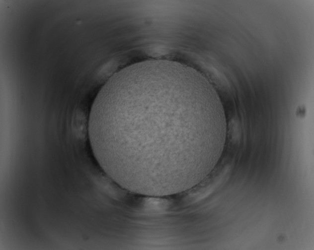 X0000102840234200809021344